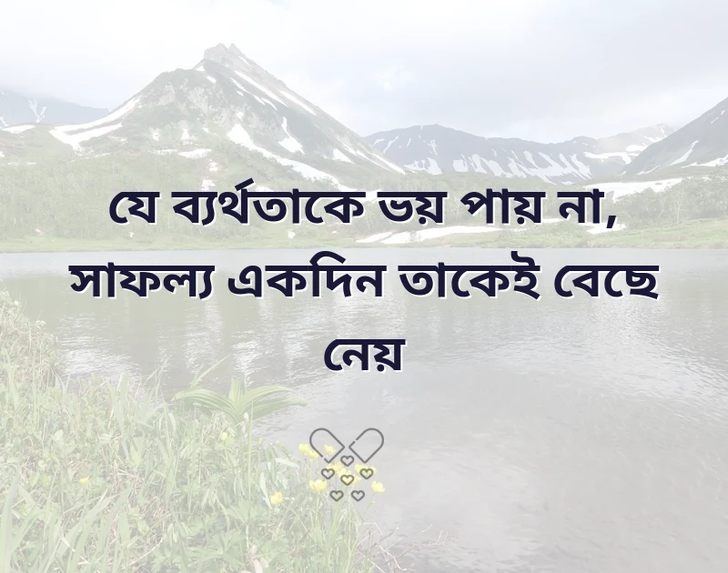 পছন্দের একটি ছবি
