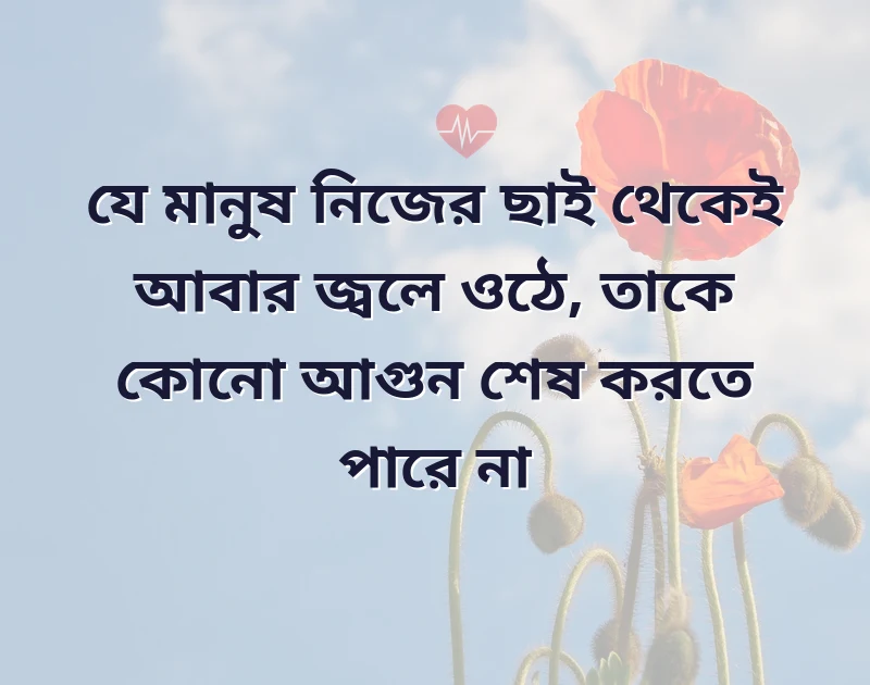 মন ছুঁয়ে যাওয়া ছবি