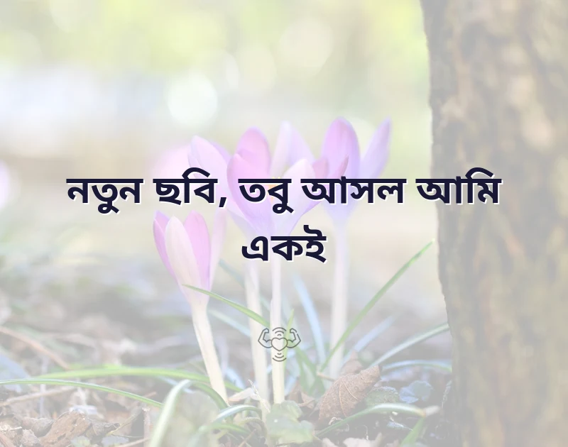 পছন্দের একটি ছবি
