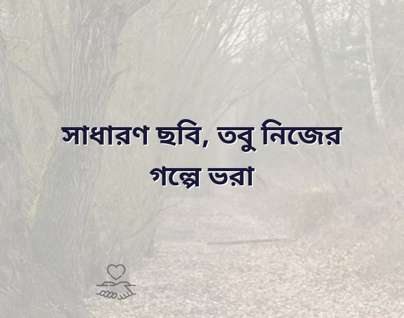 শেয়ার করার মতো ছবি