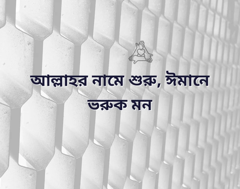 শেয়ার করার মতো ছবি