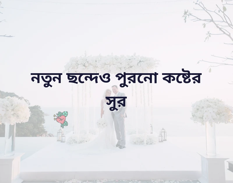শেয়ার করার মতো ছবি