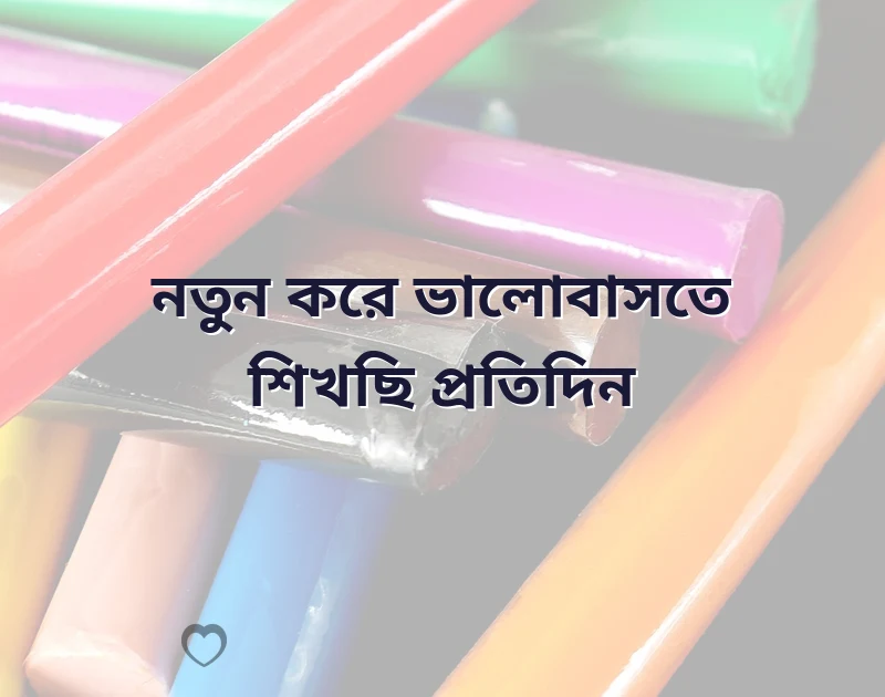 দারুণ একটি ছবি