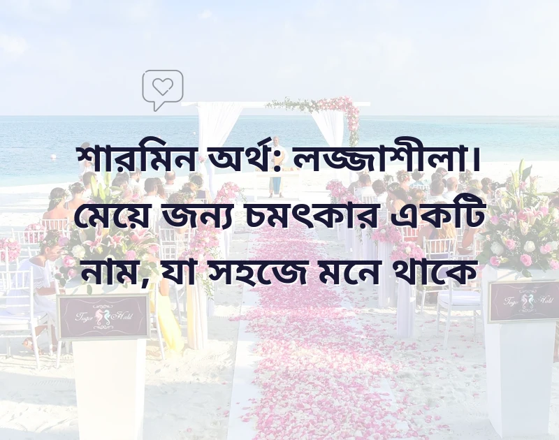 সুন্দর একটি ছবি