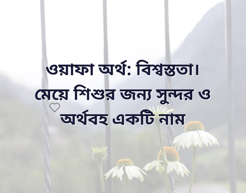 ও দিয়ে মেয়েদের ইসলামিক নাম