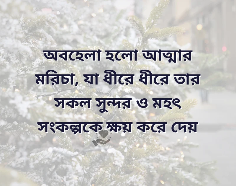 আকর্ষণীয় একটি ছবি