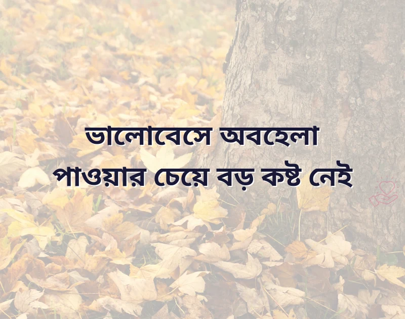 শেয়ার করার মতো ছবি