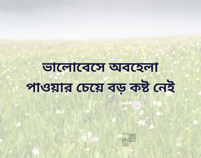 অবহেলিত ভালোবাসার মেসেজ
