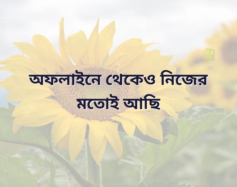 আকর্ষণীয় একটি ছবি