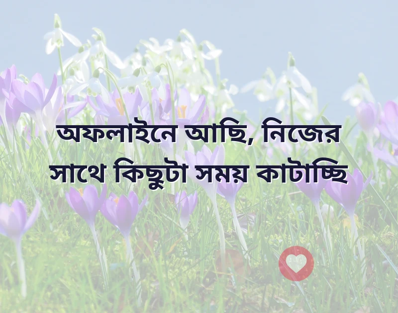 মন ছুঁয়ে যাওয়া ছবি