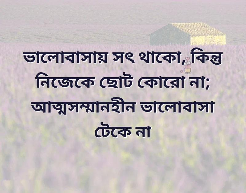 পছন্দের একটি ছবি
