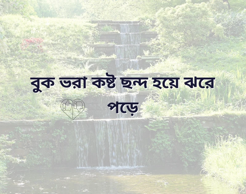 পছন্দের একটি ছবি