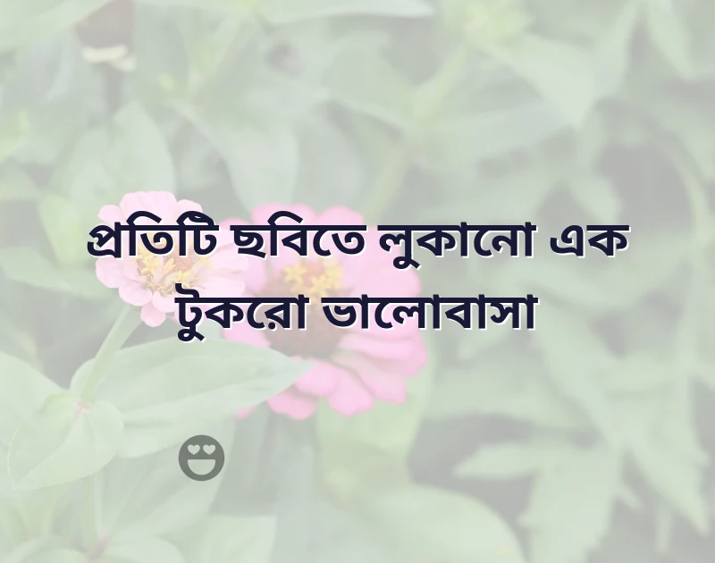 আকর্ষণীয় একটি ছবি