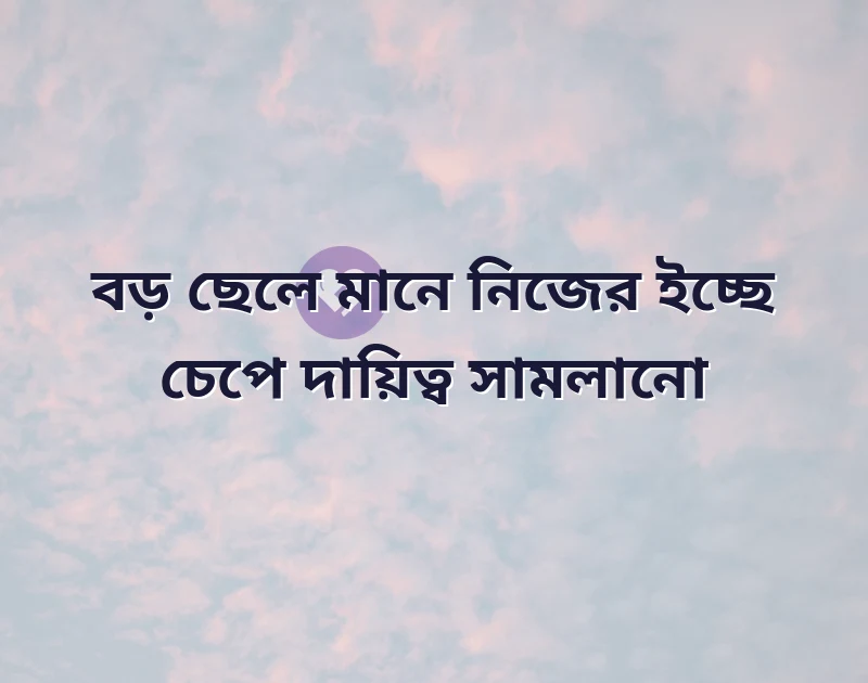 সুন্দর একটি ছবি