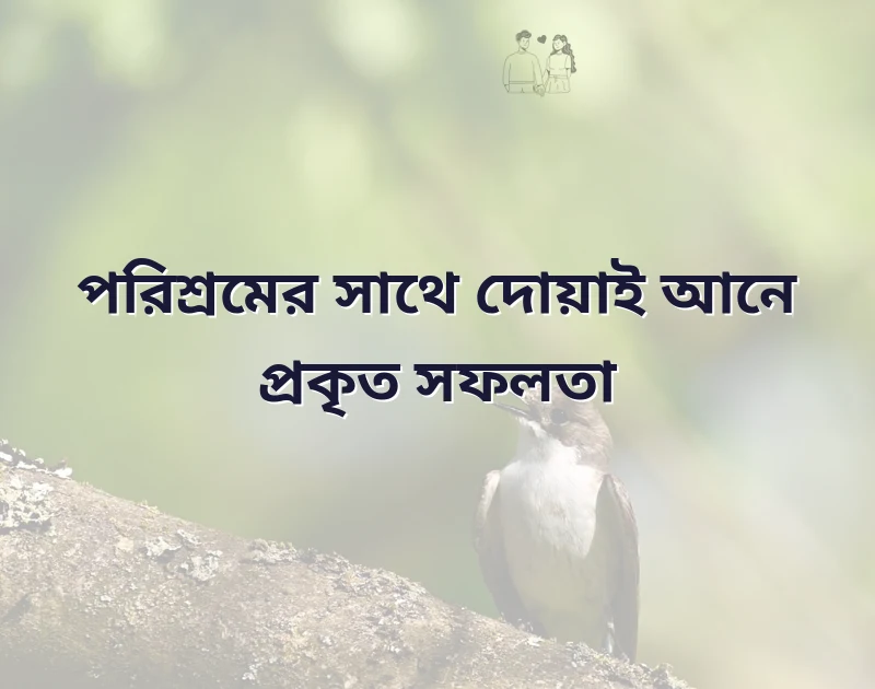 পরিশ্রম নিয়ে ইসলামিক উক্তি