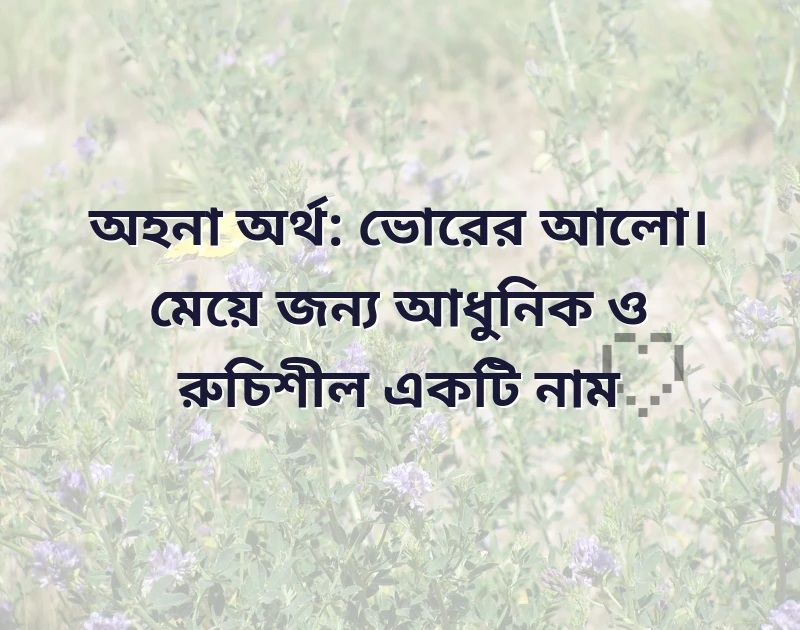 প্রিয়তমার জন্য সুন্দর নাম