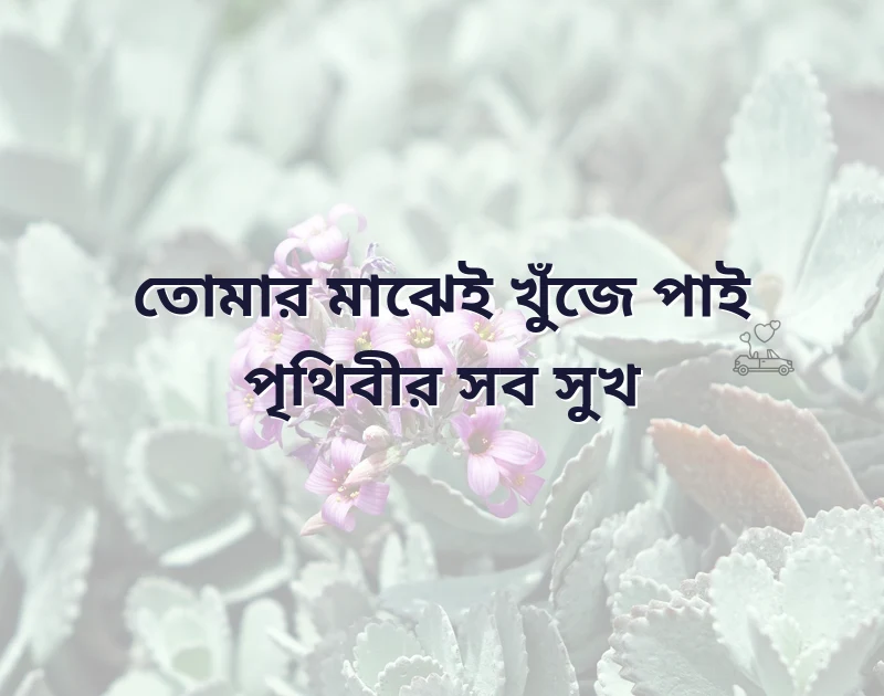 পৃথিবীর যত সুখ যত ভালোবাসা
