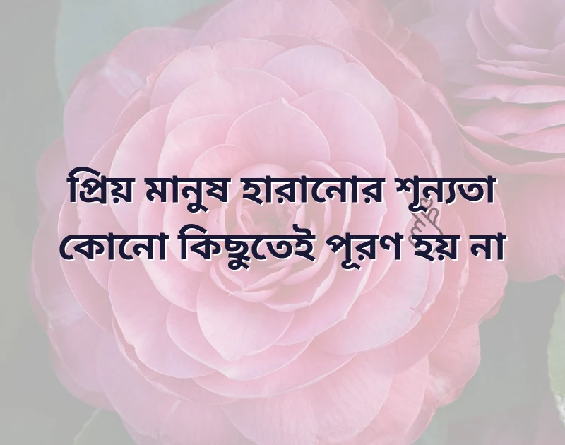 আকর্ষণীয় একটি ছবি