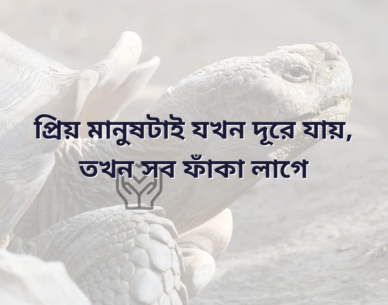 প্রিয় মানুষকে নিয়ে কিছু কষ্টের কথা