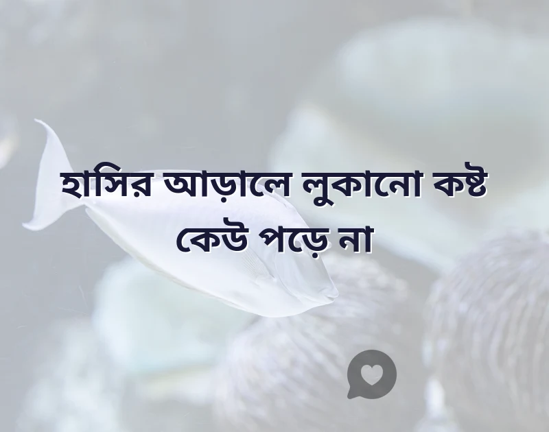 শেয়ার করার মতো ছবি