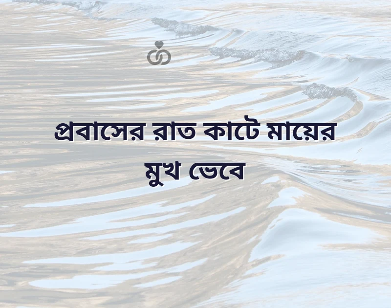 প্রবাসী কষ্টের ছন্দ
