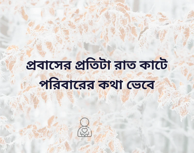 সুন্দর একটি ছবি