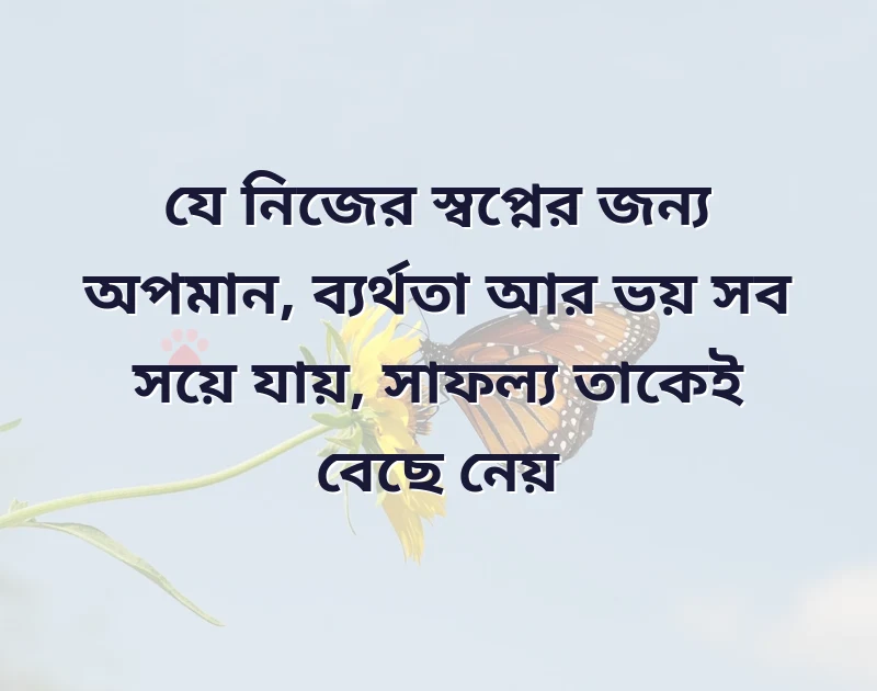 profile pic caption bangla attitude