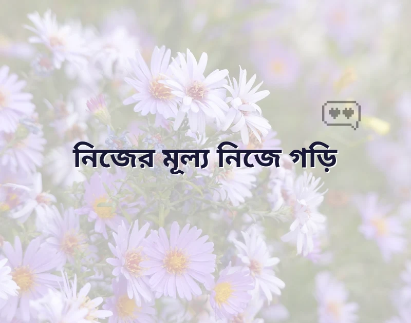 পছন্দের একটি ছবি
