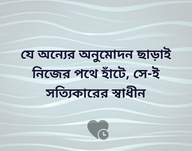 আকর্ষণীয় একটি ছবি