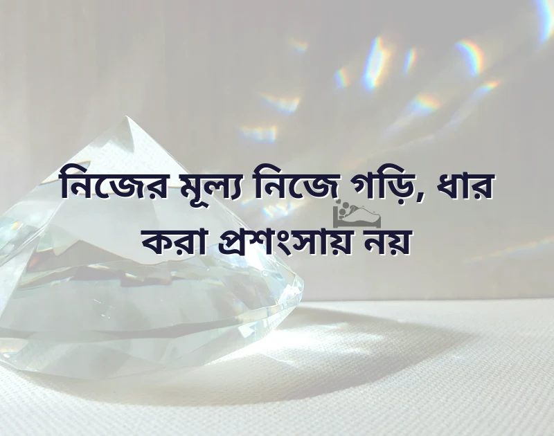 সুন্দর একটি ছবি