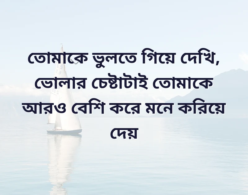 সুন্দর একটি ছবি