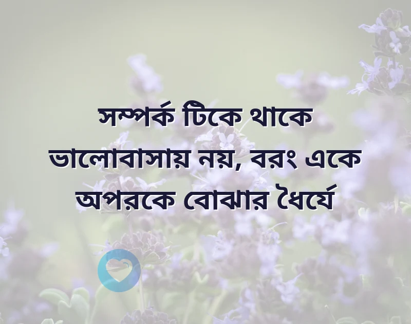 আকর্ষণীয় একটি ছবি