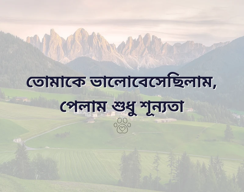রোমান্টিক কষ্টের স্ট্যাটাস