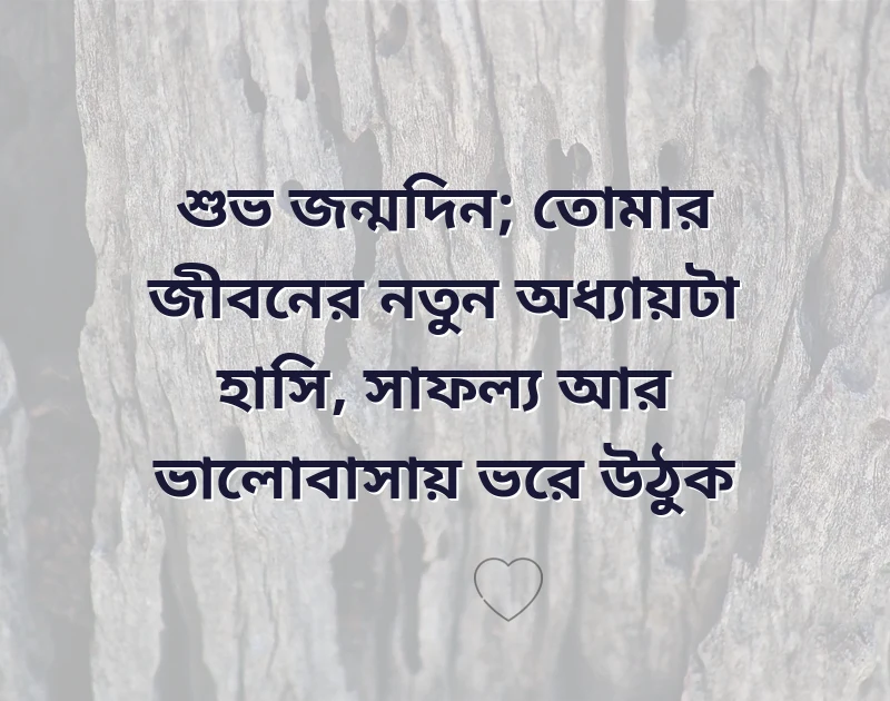 সুন্দর একটি ছবি