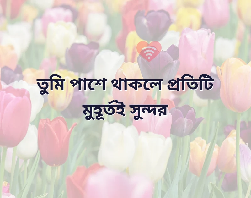 শেয়ার করার মতো ছবি