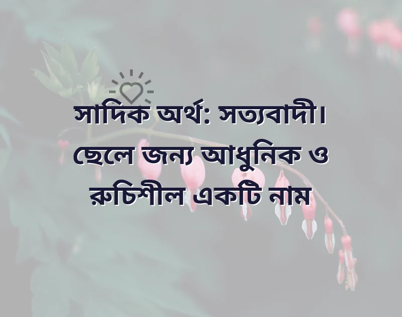আকর্ষণীয় একটি ছবি