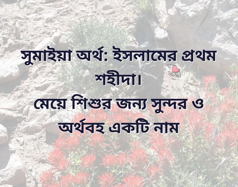 সুন্দর একটি ছবি