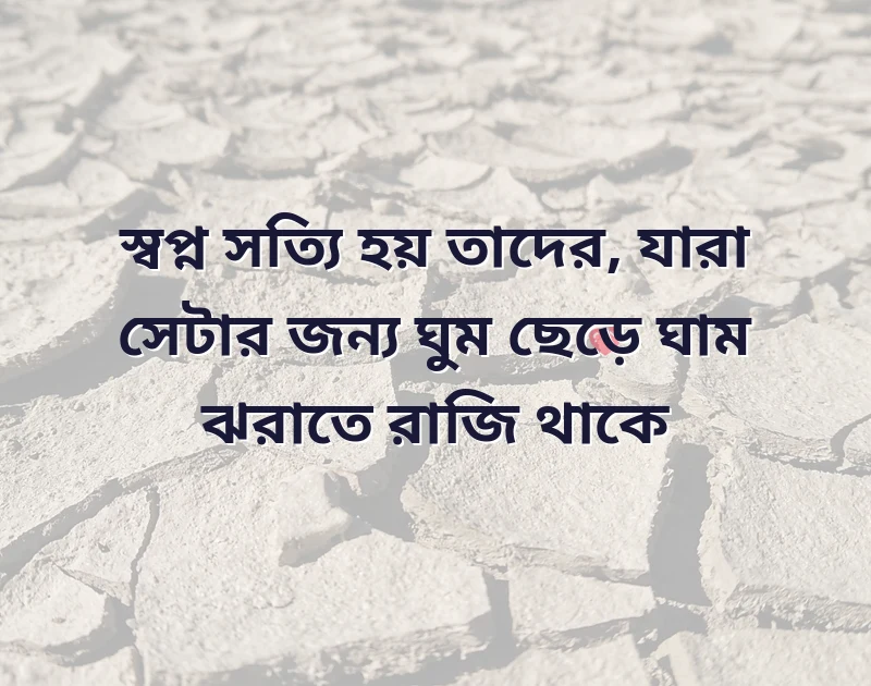 আকর্ষণীয় একটি ছবি