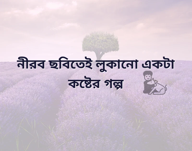 sad bangla shayari photo