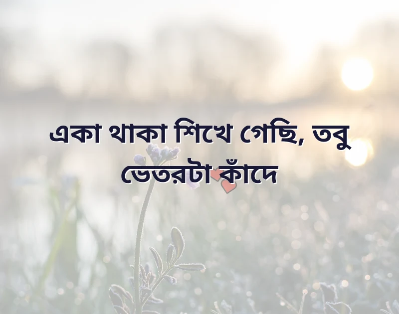 sad bio for whatsapp
