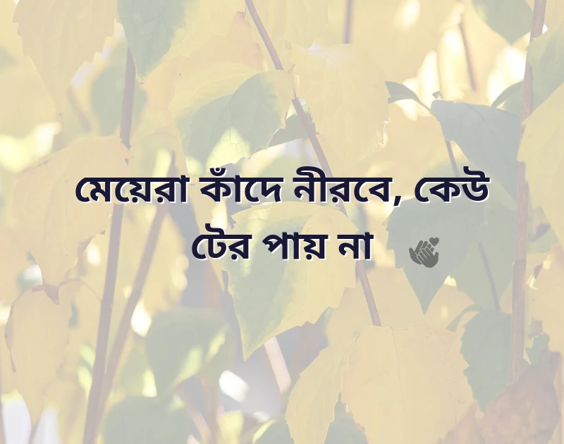 দারুণ একটি ছবি