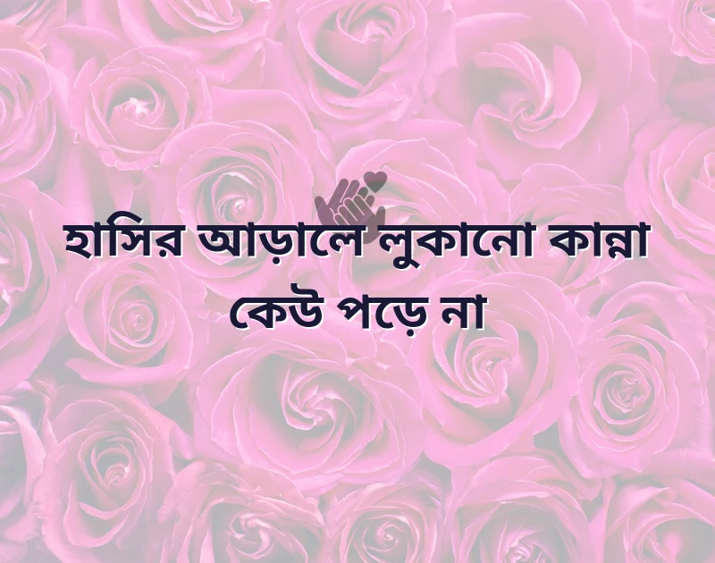 দারুণ একটি ছবি