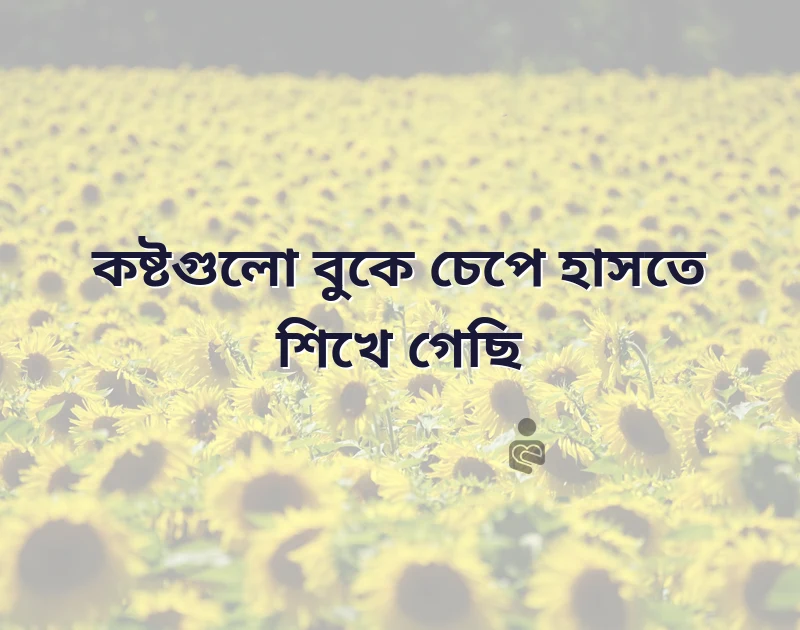 শেয়ার করার মতো ছবি