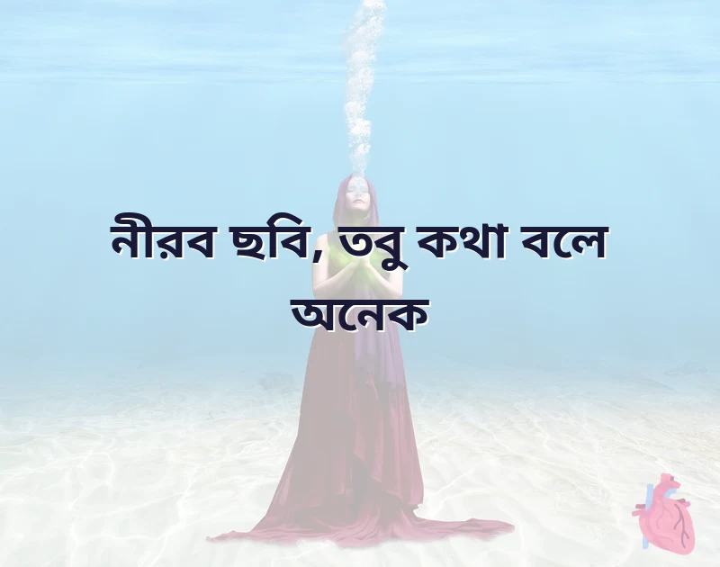 sad status images bengali