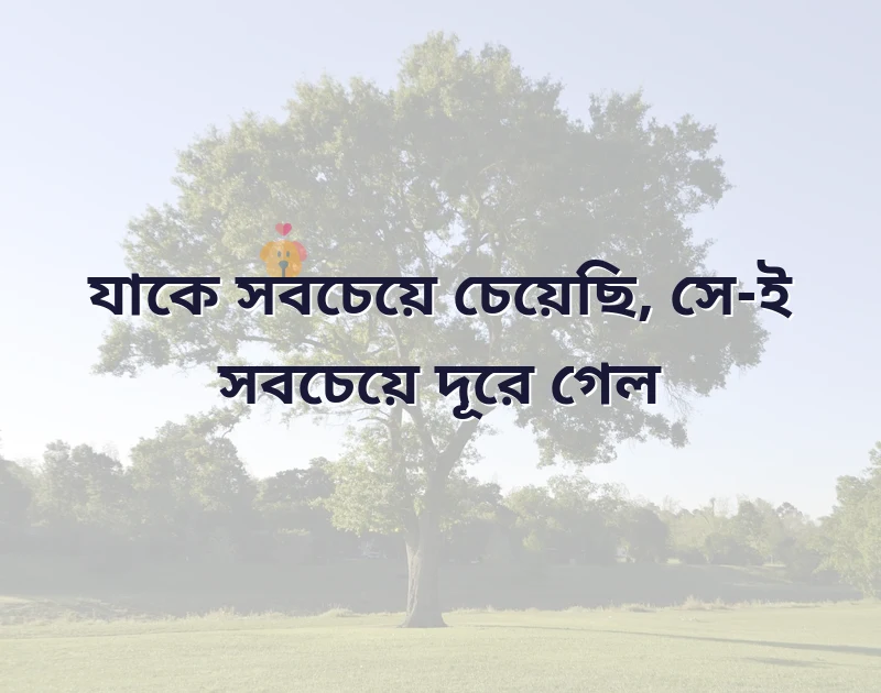 sad status in bengali