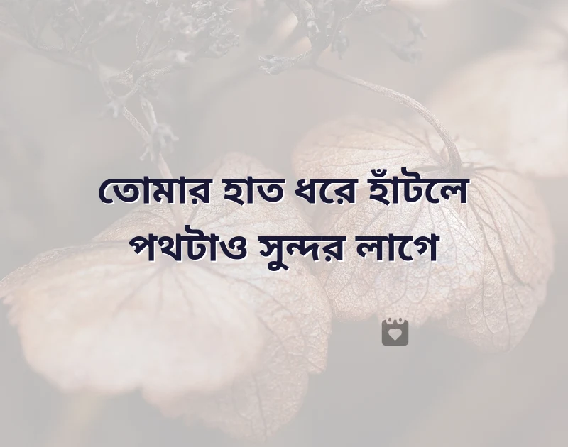 আকর্ষণীয় একটি ছবি