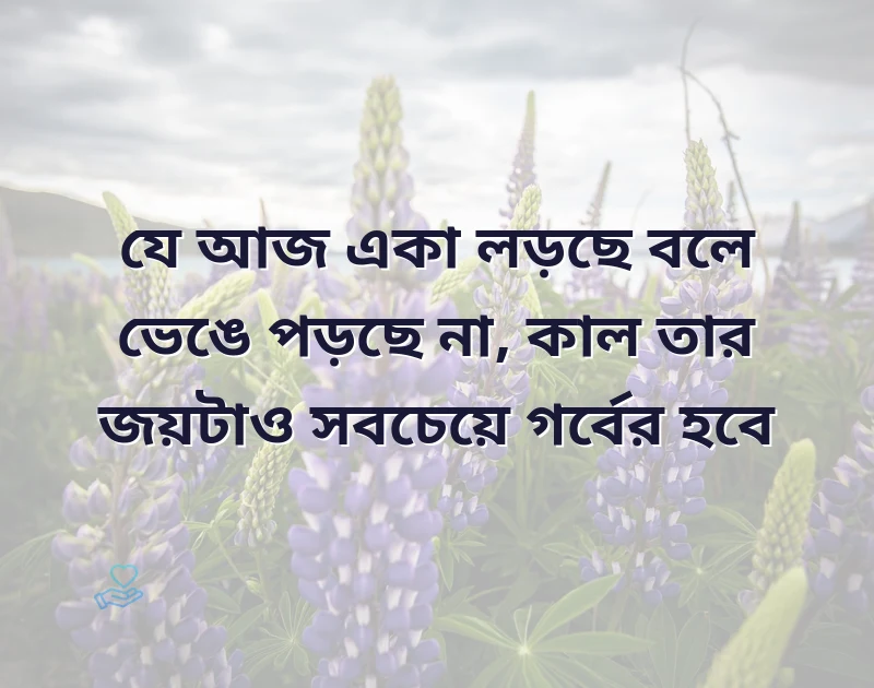 আকর্ষণীয় একটি ছবি