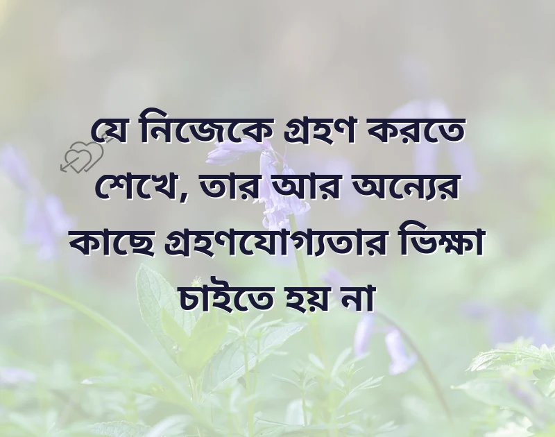 আকর্ষণীয় একটি ছবি