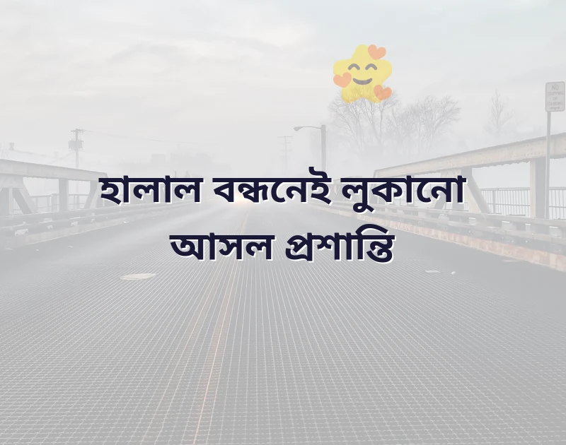 সুন্দর একটি ছবি
