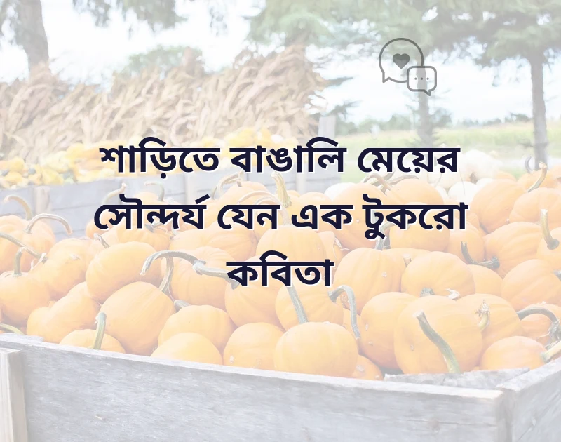 শাড়ি পড়া প্রোফাইল পিক ক্যাপশন